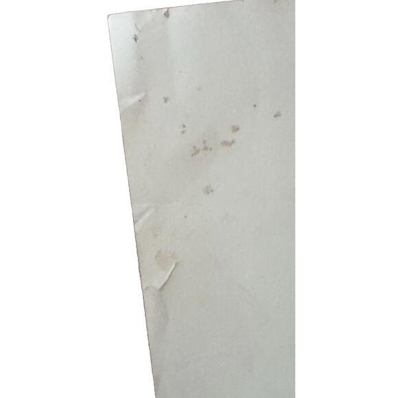 VTG San Diego Zoo Koala Poster Frye & Smith Studios 1960s Offset California READ - Picture 8 of 16